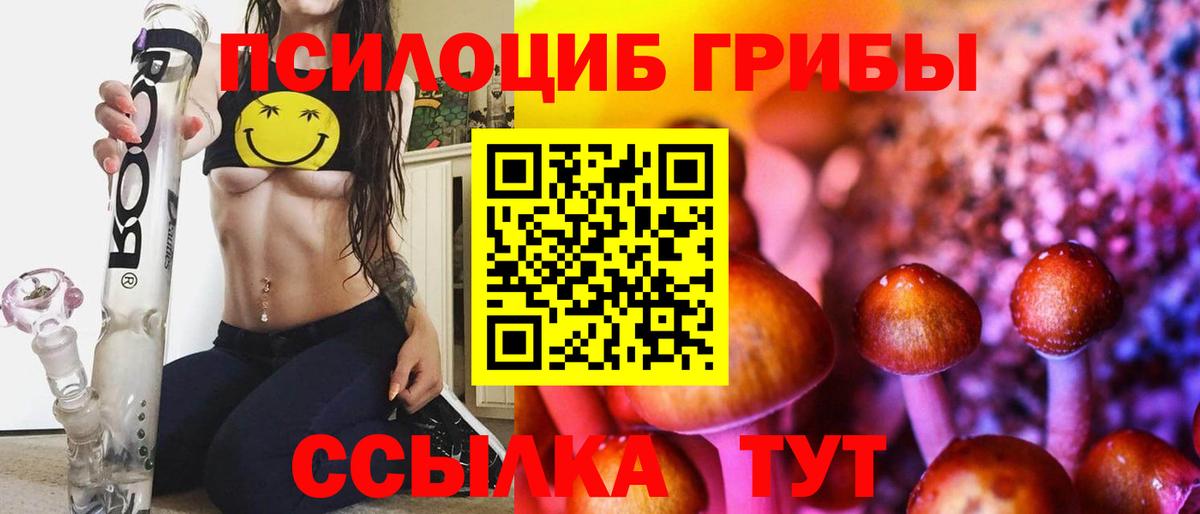 даркнет сайт  Псилоцибиновые грибы Cubensis  Вход с VPN  Галлюциногенные грибы прущие грибы  Видное 